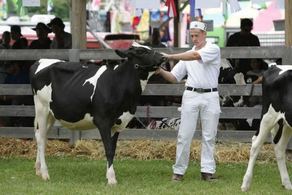 2010 Sutton Dairy Show