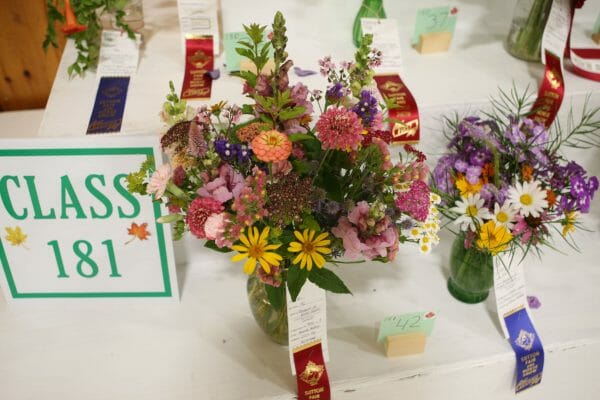 Flowers competition at Sutton Fair