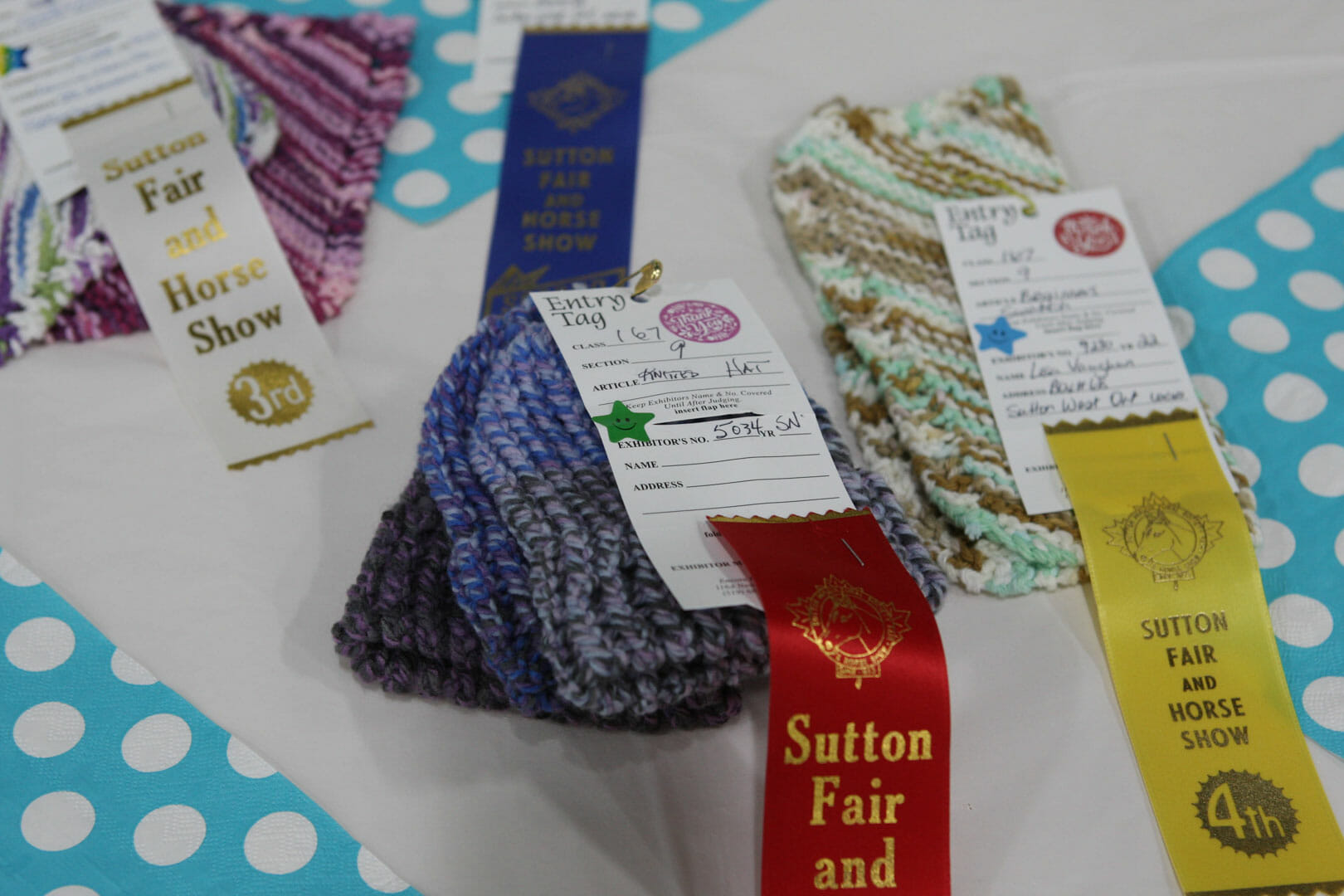 Special Needs competition at Sutton Fair